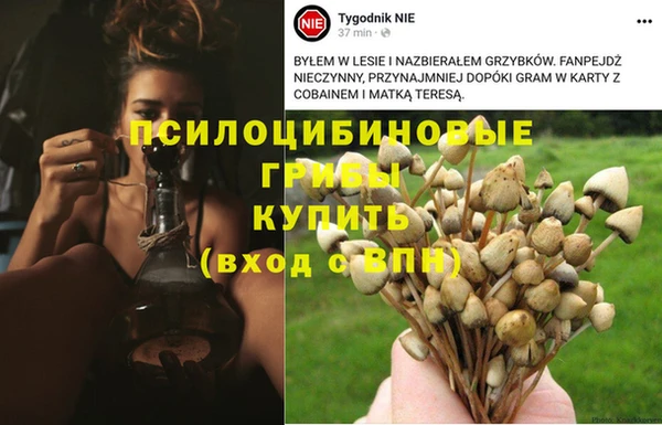 спайс Баксан