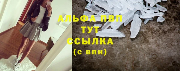 спайс Баксан