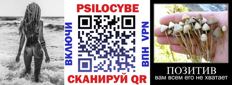 хочу   Афипский  Галлюциногенные грибы Psilocybe 
