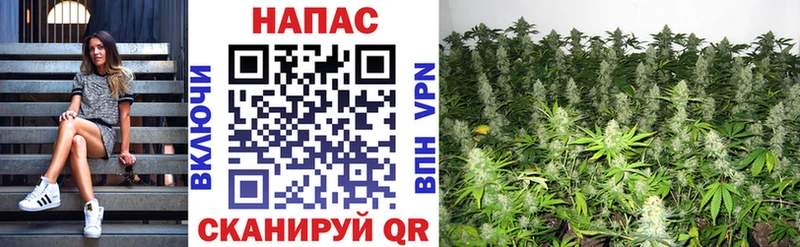 где купить   Афипский  Марихуана VHQ 